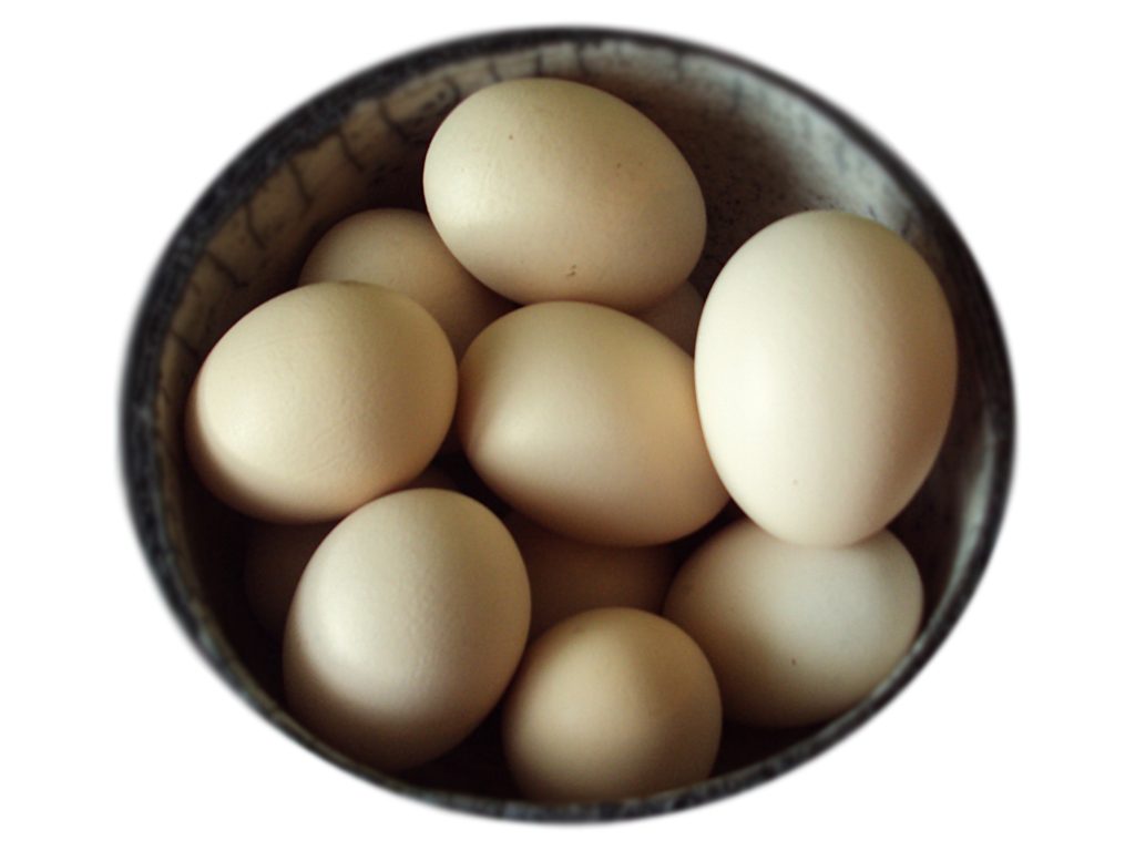 jajka Naturalnie Dla Zdrowia Kamila Dulęba Dziębowska