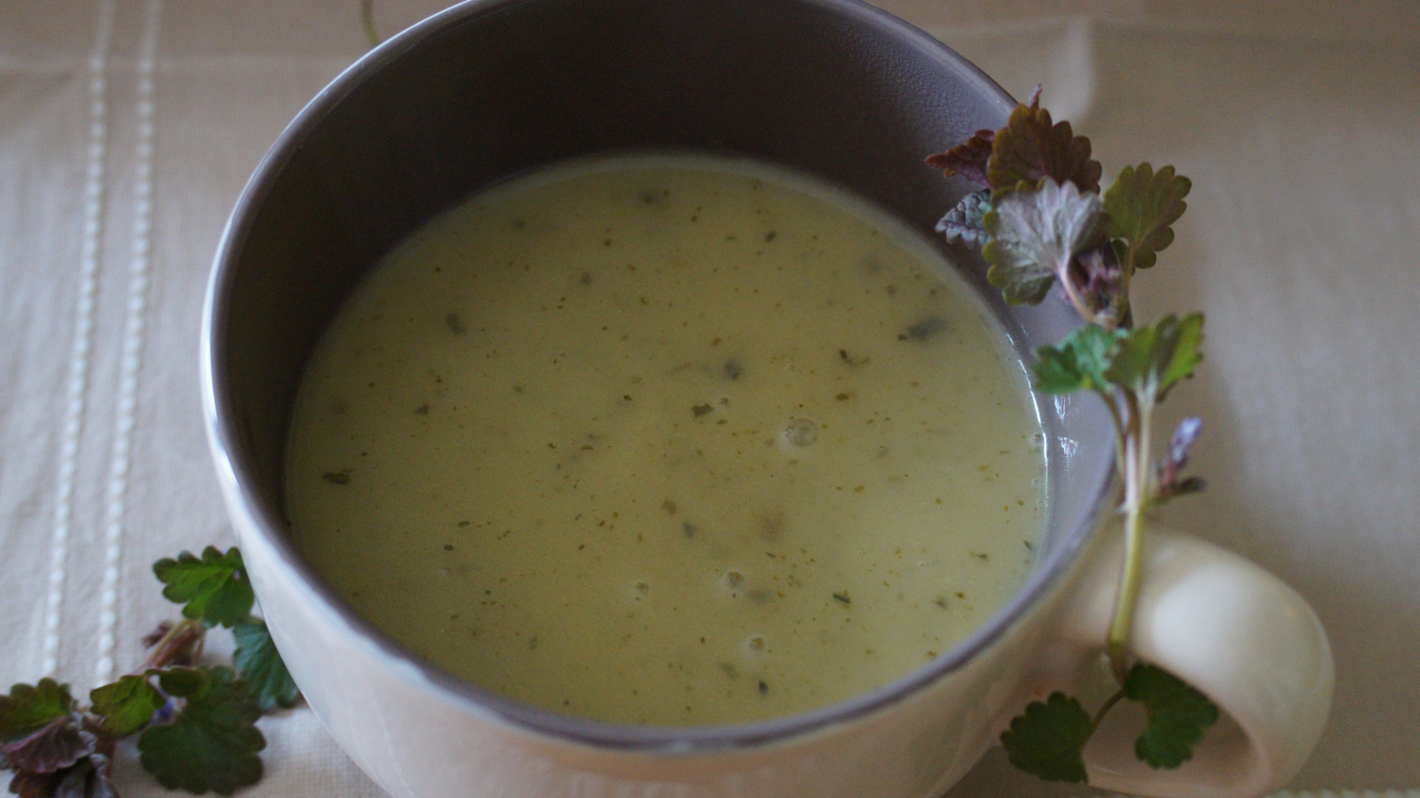 zupa z kurdybankiem - bluszczyk kurdybanek - naturalnie dla zdrowia
