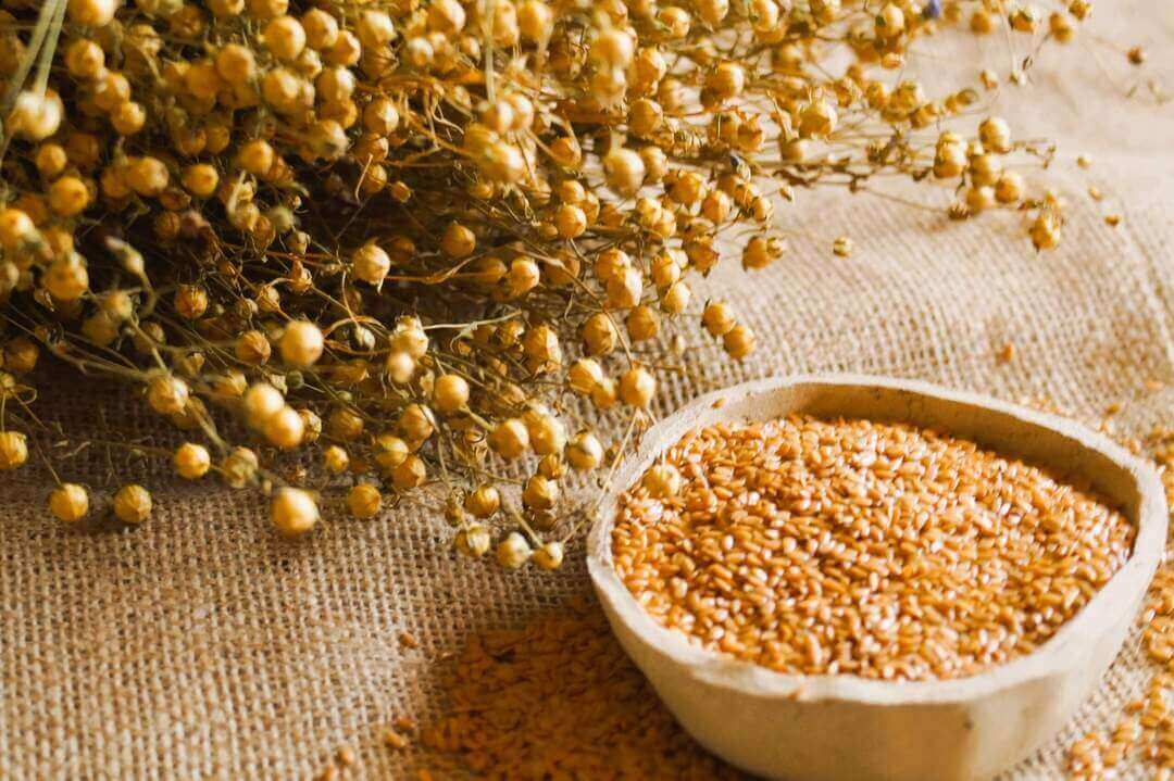 polskie superfoods ; len, nasiona lnu, dietetyk gorzów Kamila Dulęba Dziębowska